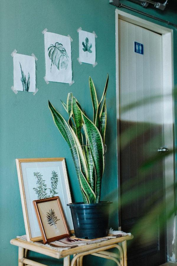 Pine Cafe'&Bed Ξενοδοχείο Αγιουτάγια Εξωτερικό φωτογραφία